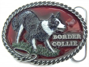 Collie