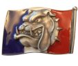 French Flag Bulldog